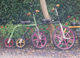Hobbelfiets &quot;Maxi&quot;